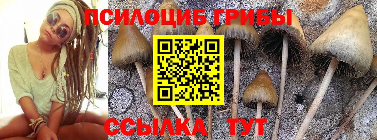 Галлюциногенные грибы мицелий Новоалександровск