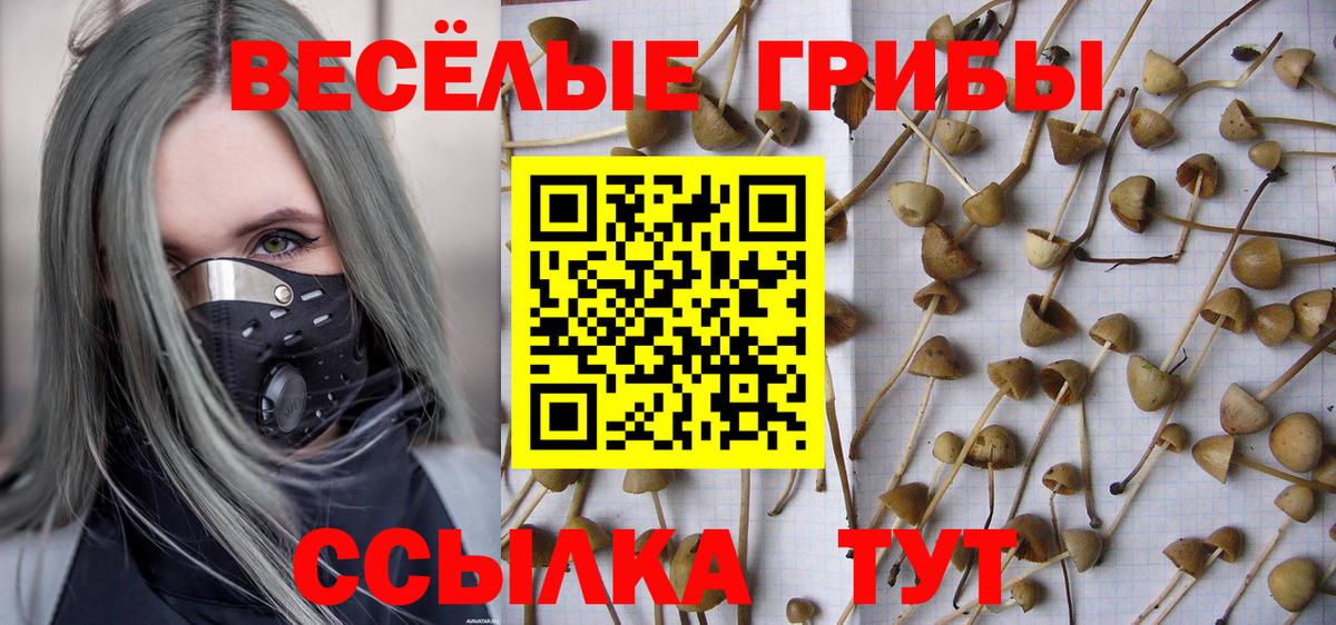 Псилоцибиновые грибы мухоморы  Вход с VPN  Новоалександровск  Галлюциногенные грибы Psilocybine cubensis 